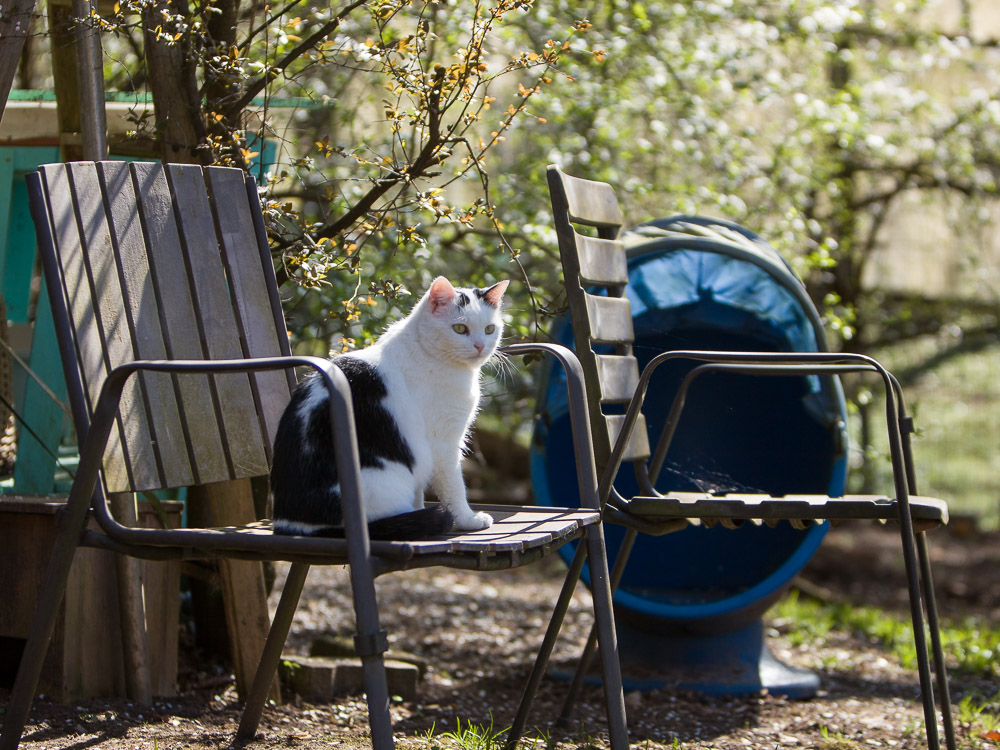 Mimmi sitzt auf einem Gartenstuhl und blickt in den Garten