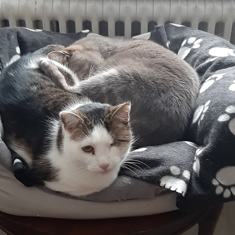 Gabriel und Evi liegen zusammen auf einer Decke