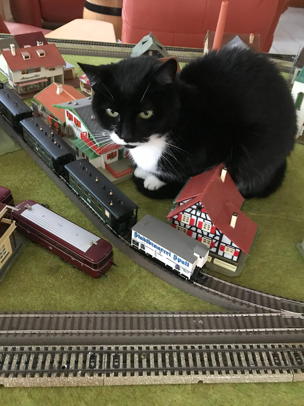 Purzel sitzt in einer Modelleisenbahn
