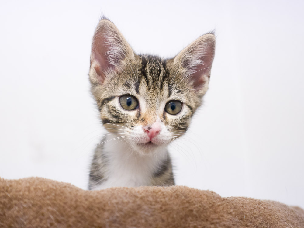 Porträt von Melanie